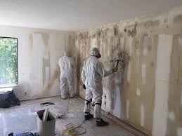 Best Post-Construction Mold Inspection  in Verandah, FL